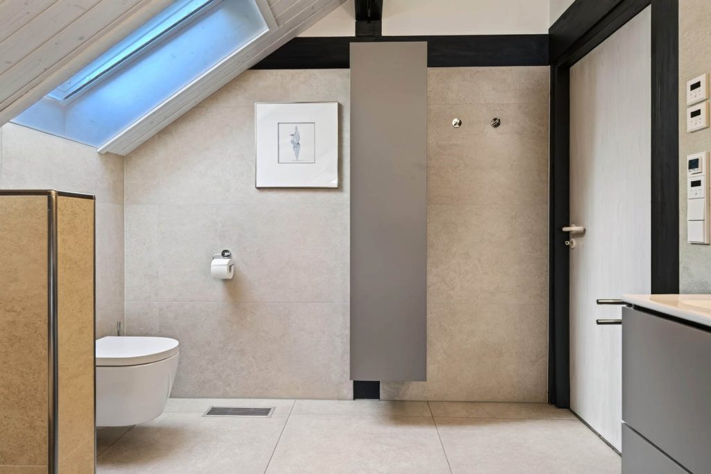WC-Bereich mit Dachfenster, schmalem Wandschrank und Bild an der Wand